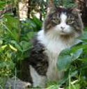 Animal Supply House Pet Franchise