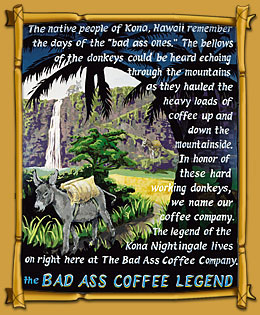 Bad Ass Coffee Franchise