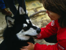 Bark Busters Pet Franchise