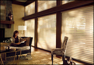 Carpet Network Home Services Franchise